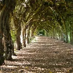 In Limburg Near Designer Outlet Villa Roggel