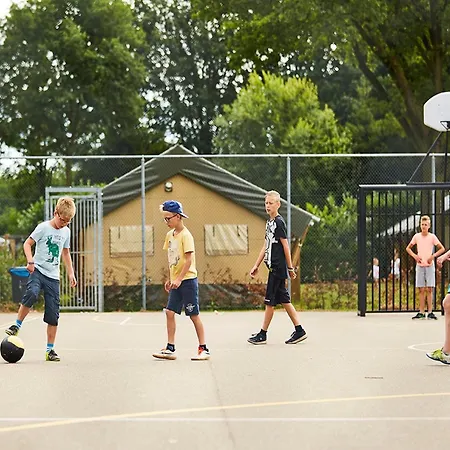 In Limburg Near Designer Outlet Roggel