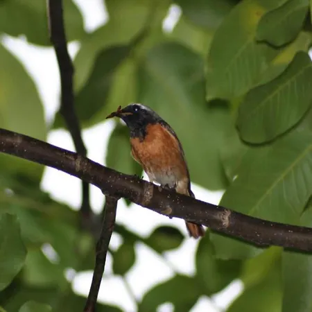 In Limburg Near Designer Outlet