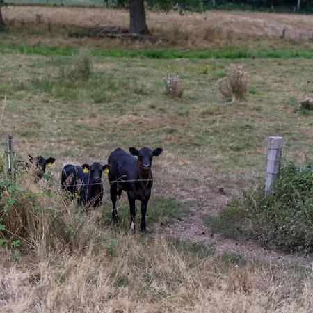 In Limburg Near Designer Outlet *