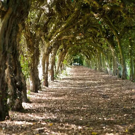 In Limburg Near Designer Outlet Villa Roggel