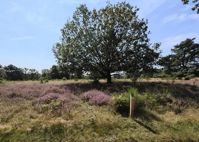 In Limburg Near Designer Outlet Villa *