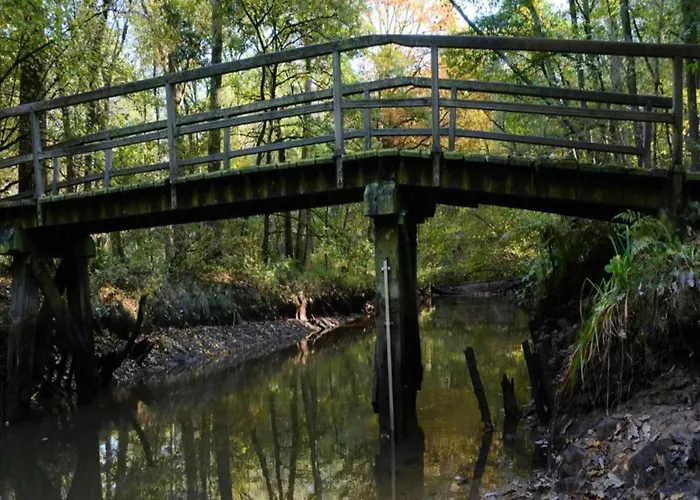 In Limburg Near Designer Outlet Villa *