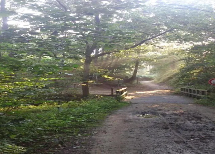 Villa In Limburg Near Designer Outlet Roggel