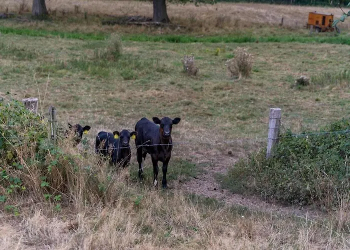 In Limburg Near Designer Outlet *