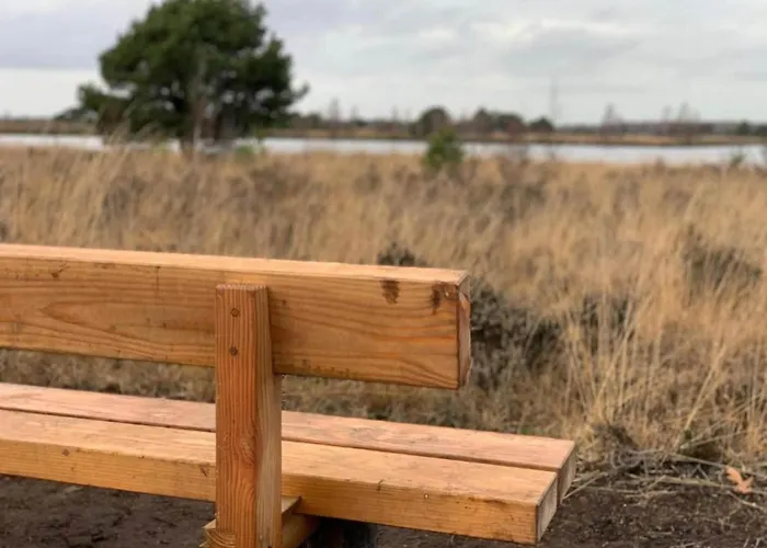 In Limburg Near Designer Outlet Villa Roggel