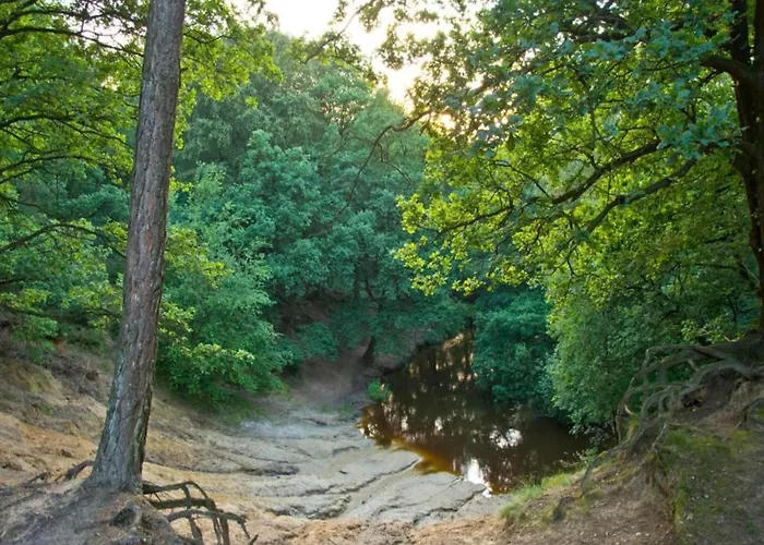 In Limburg Near Designer Outlet Roggel