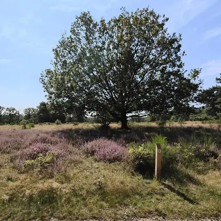 In Limburg Near Designer Outlet Villa *