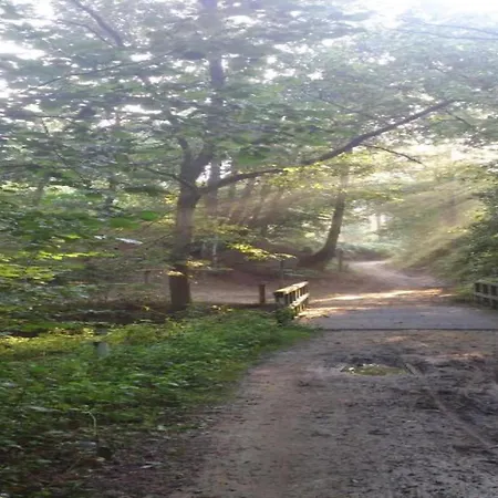 Βίλα In Limburg Near Designer Outlet Roggel