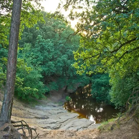 In Limburg Near Designer Outlet Roggel